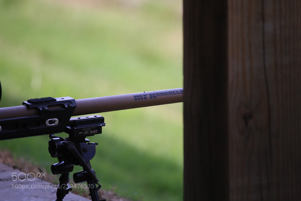 Canon EOS 6D sample photo. Img photography
