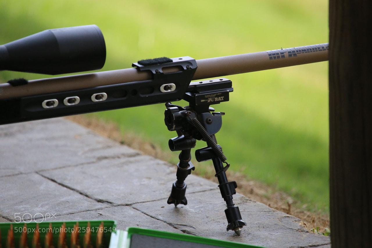 Canon EOS 6D sample photo. Img photography