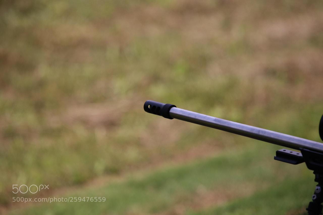 Canon EOS 6D sample photo. Img photography