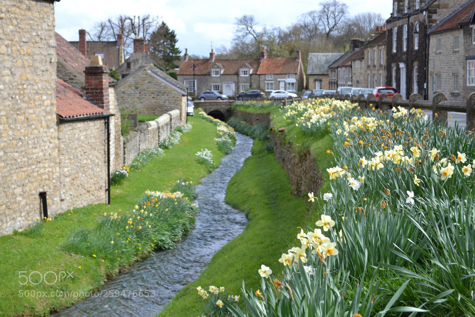 Nikon D3100 sample photo. Helmsley, north yorkshire photography