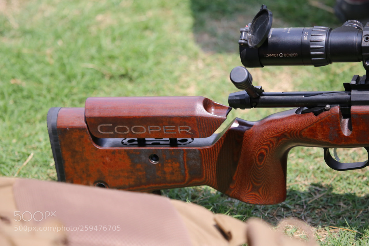 Canon EOS 6D sample photo. Img photography