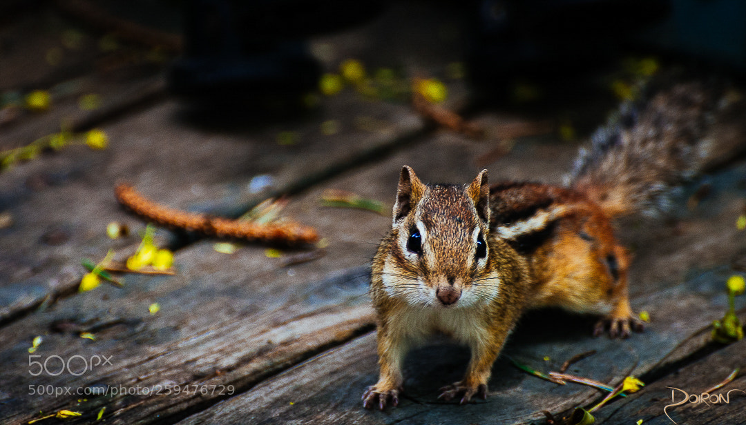 Nikon D7200 sample photo. Hi there!! photography