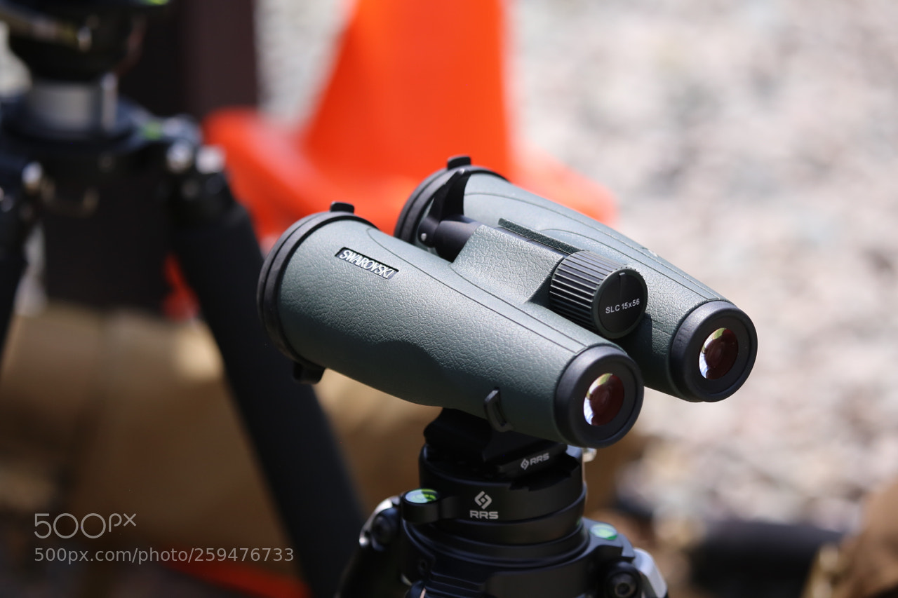Canon EOS 6D sample photo. Img photography