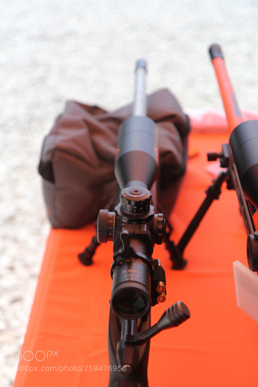 Canon EOS 60D sample photo. Img photography