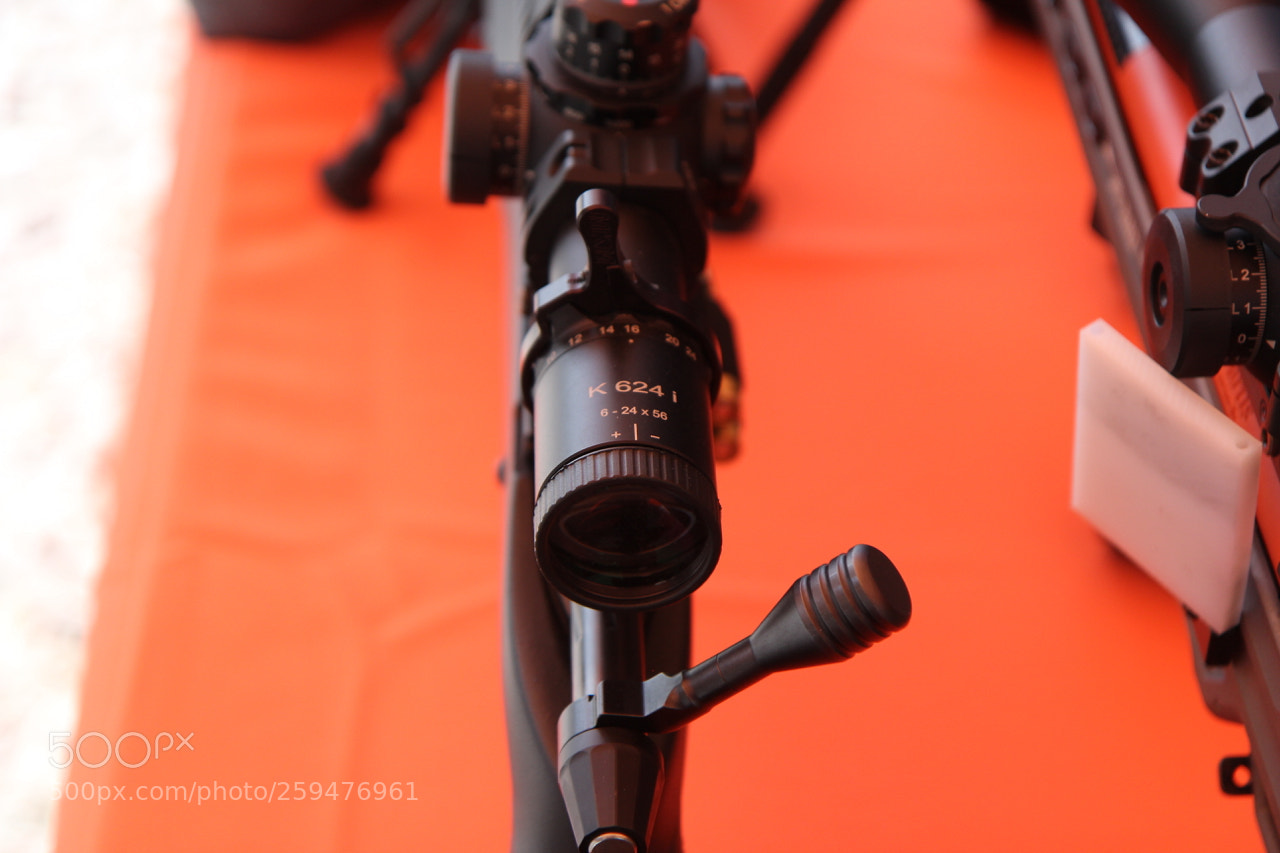 Canon EOS 60D sample photo. Img photography