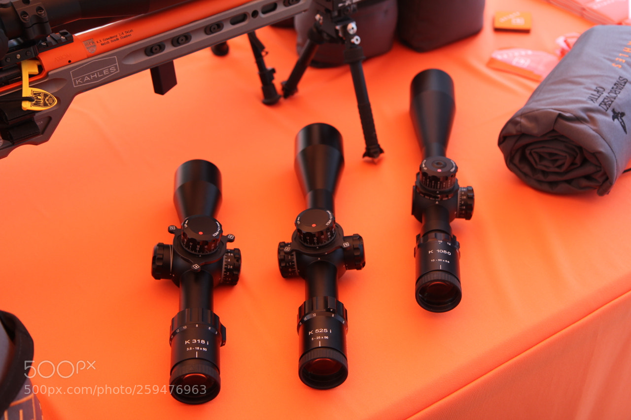 Canon EOS 60D sample photo. Img photography