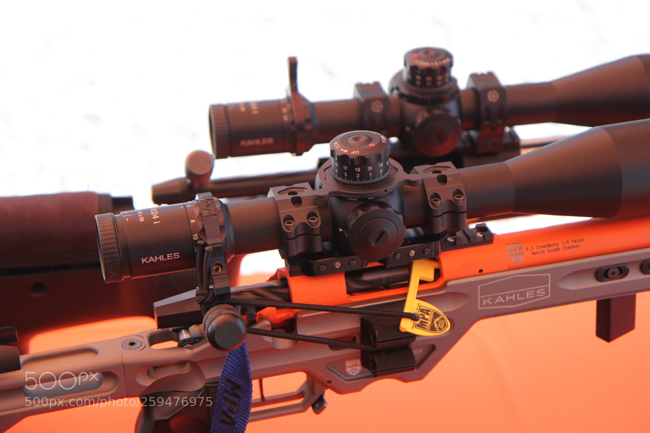 Canon EOS 60D sample photo. Img photography
