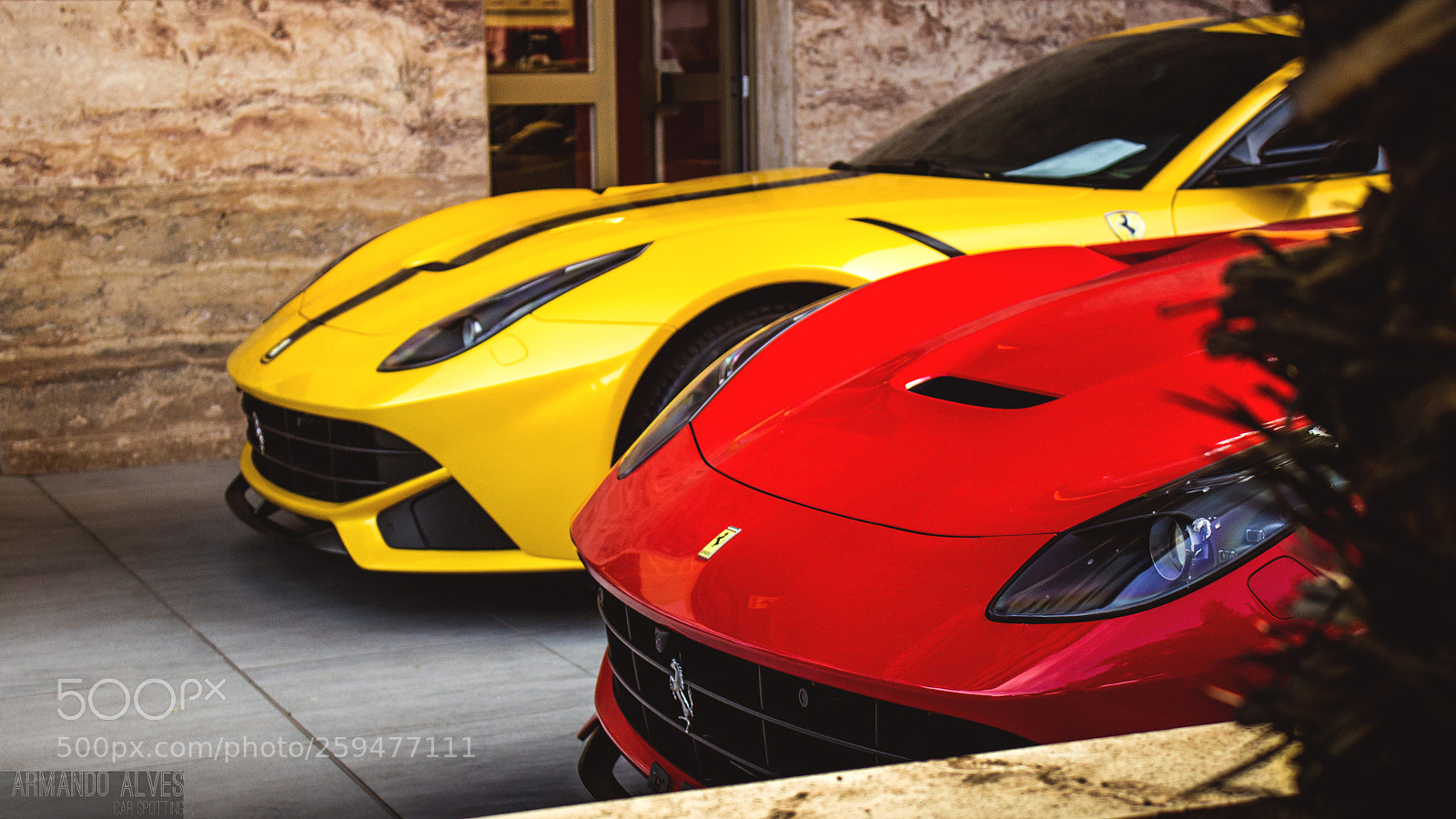 Canon EOS 600D (Rebel EOS T3i / EOS Kiss X5) sample photo. Couple of prancing horses photography