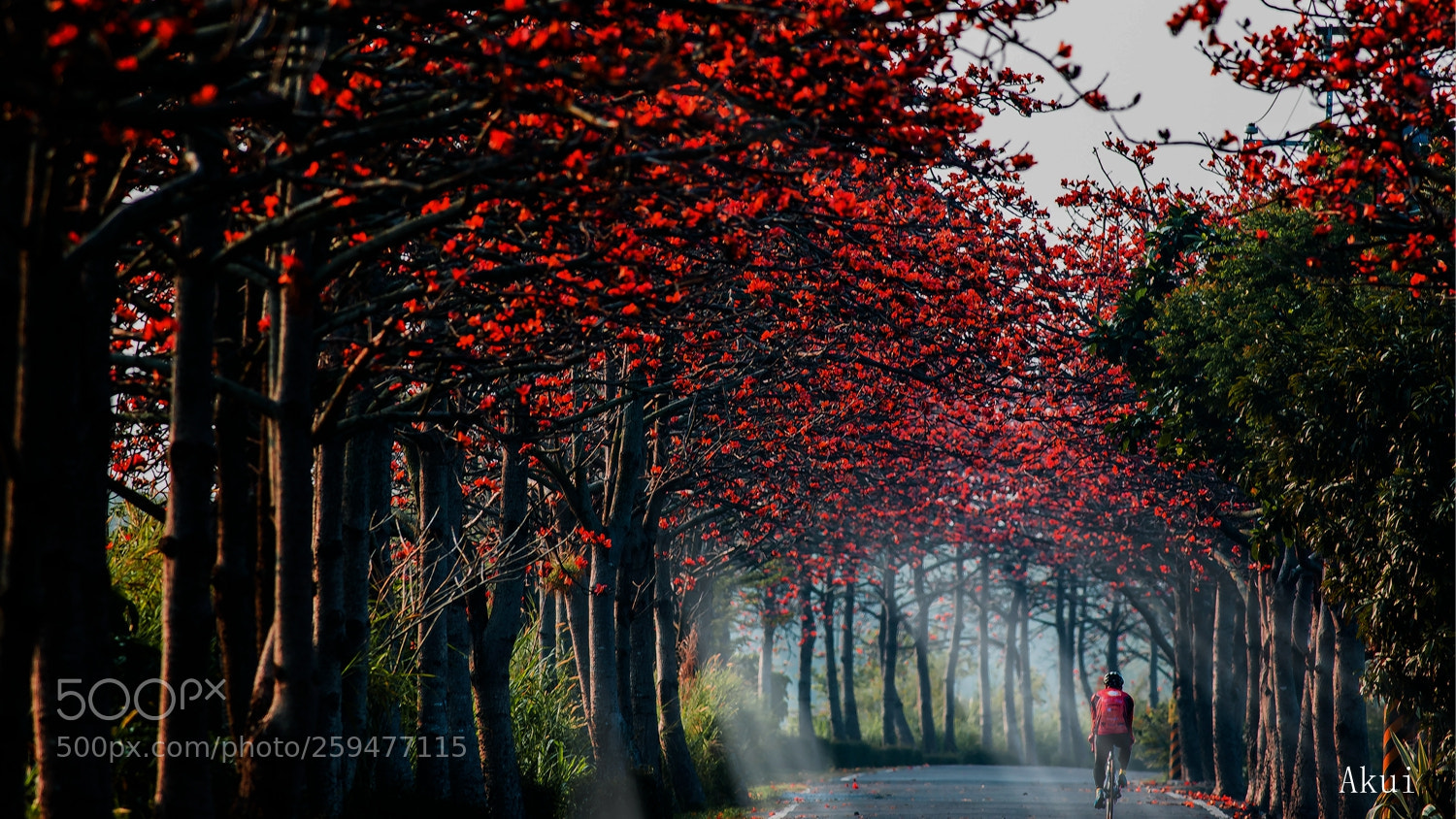 Canon EOS 5D Mark IV sample photo. Morning bike photography