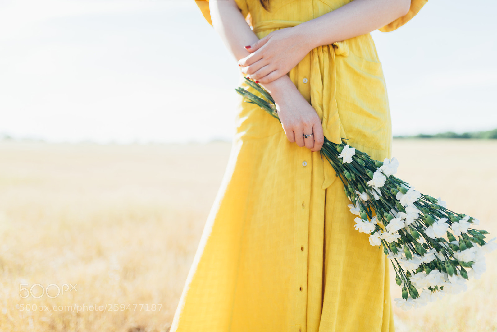 Nikon D800 sample photo. Rare summer photography