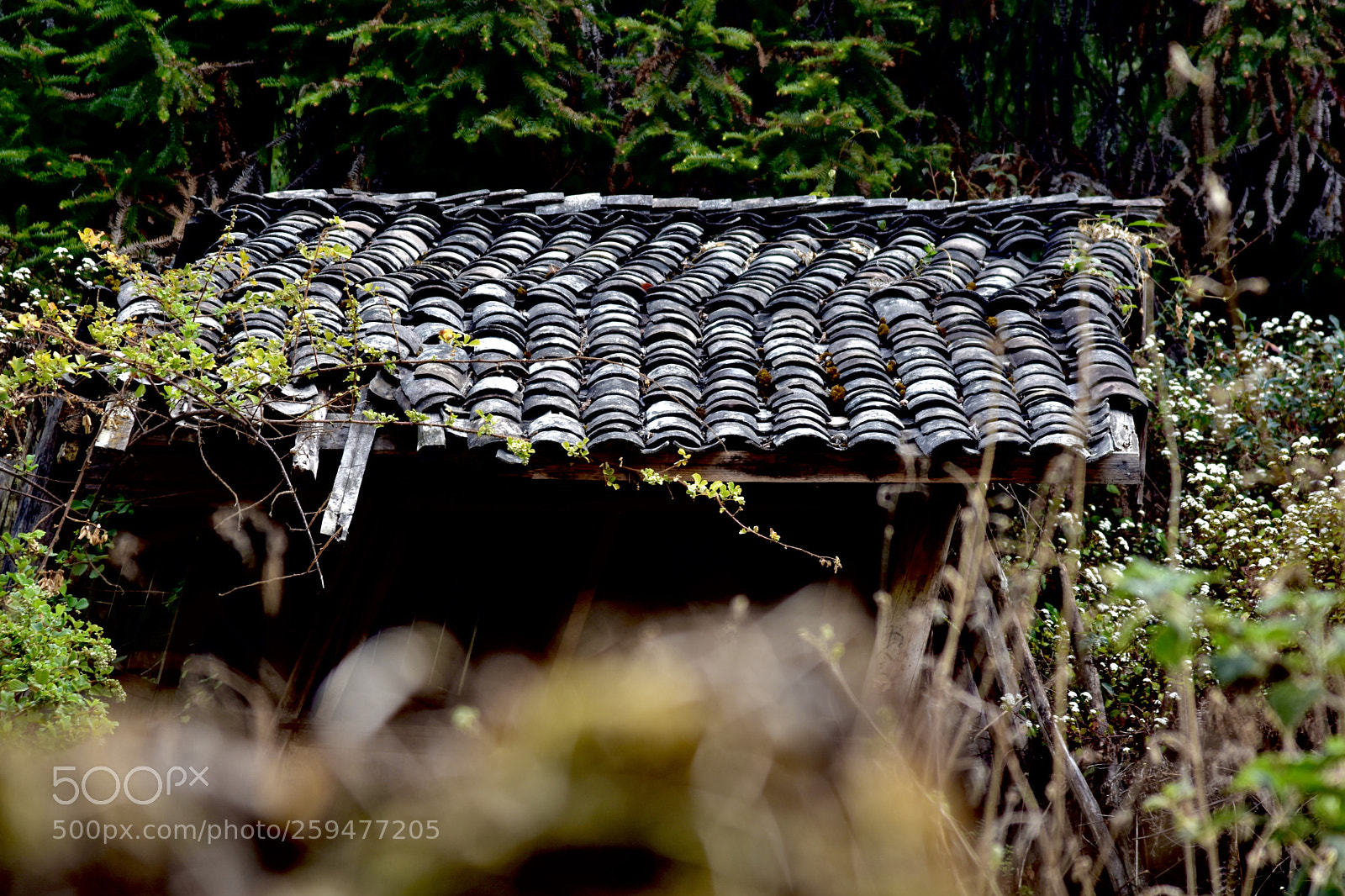 Nikon D7200 sample photo. House photography