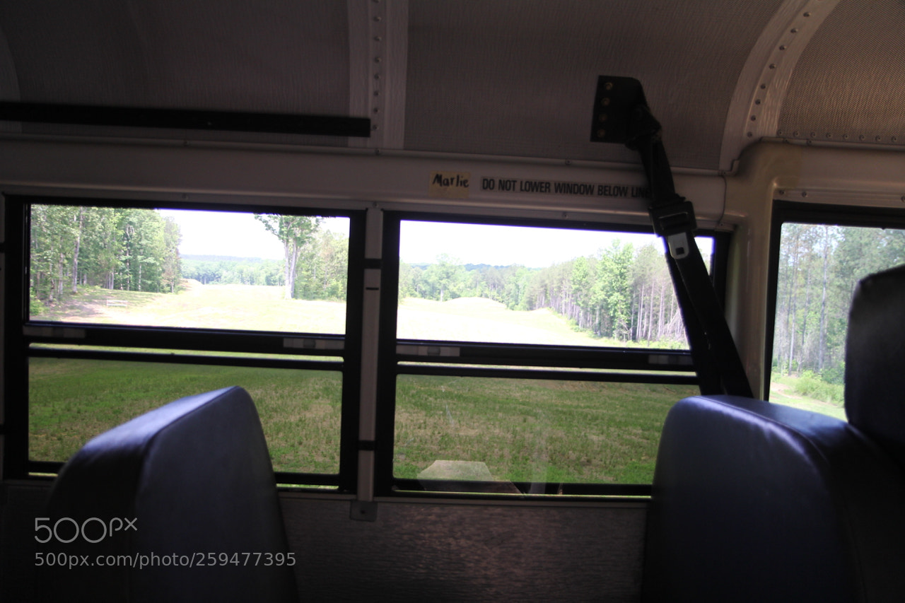 Canon EOS 60D sample photo. Img photography