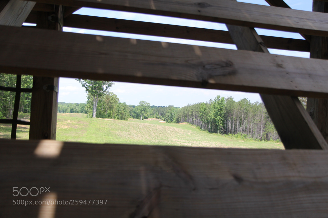 Canon EOS 60D sample photo. Img photography