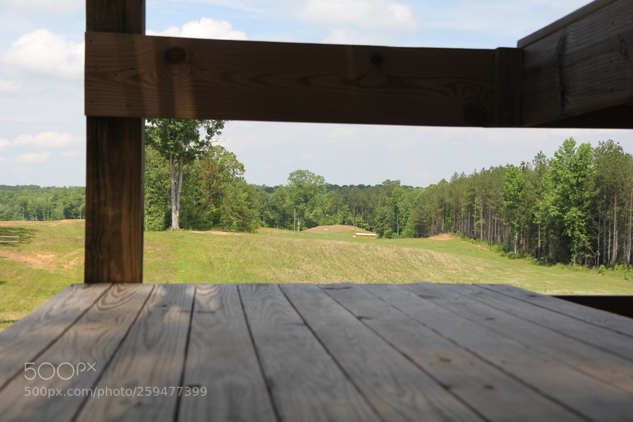 Canon EOS 60D sample photo. Img photography