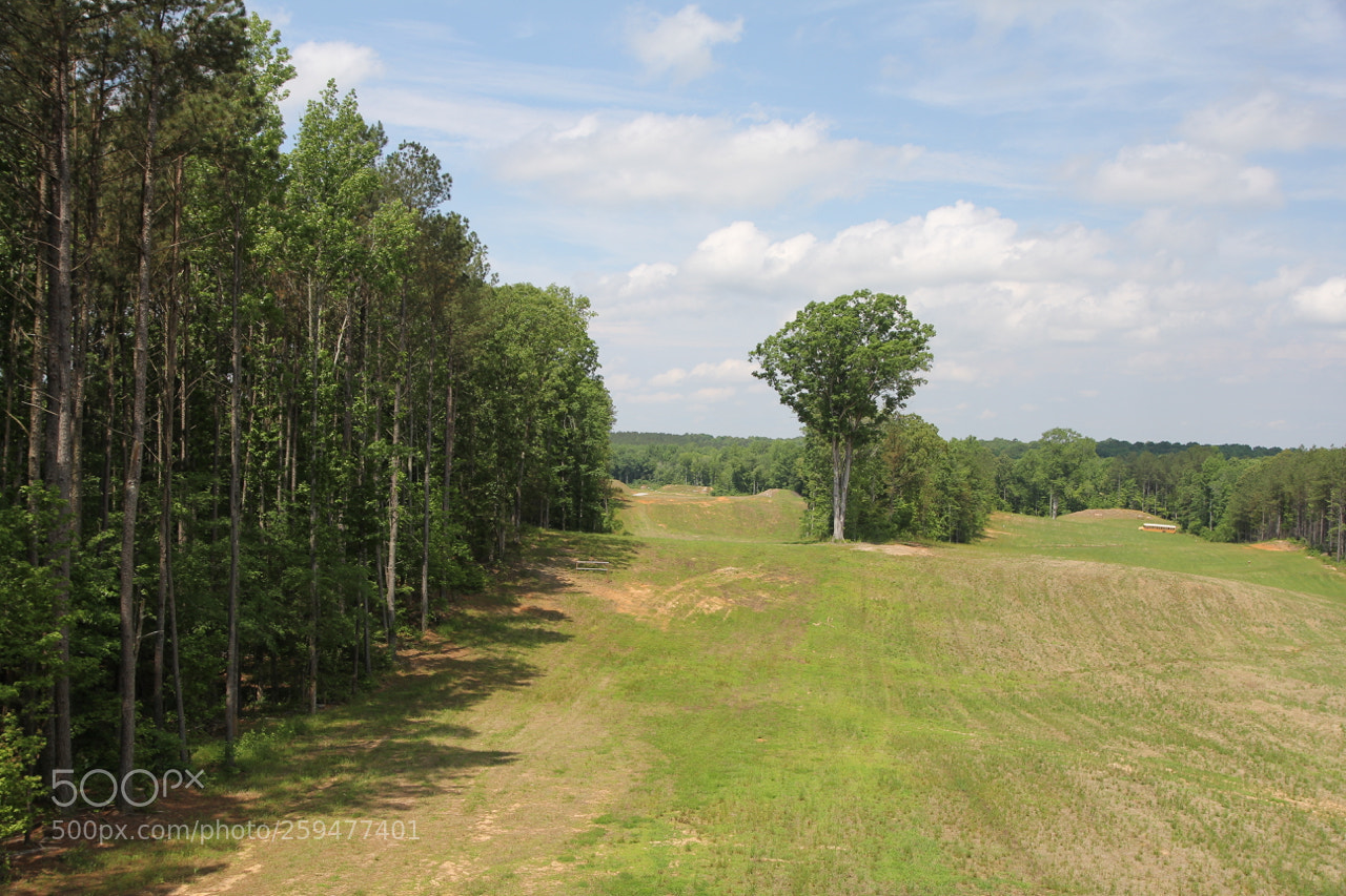 Canon EOS 60D sample photo. Img photography