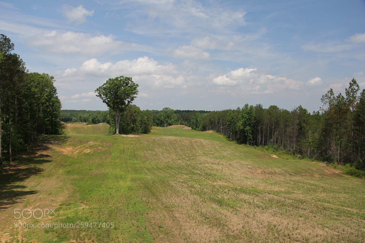 Canon EOS 60D sample photo. Img photography