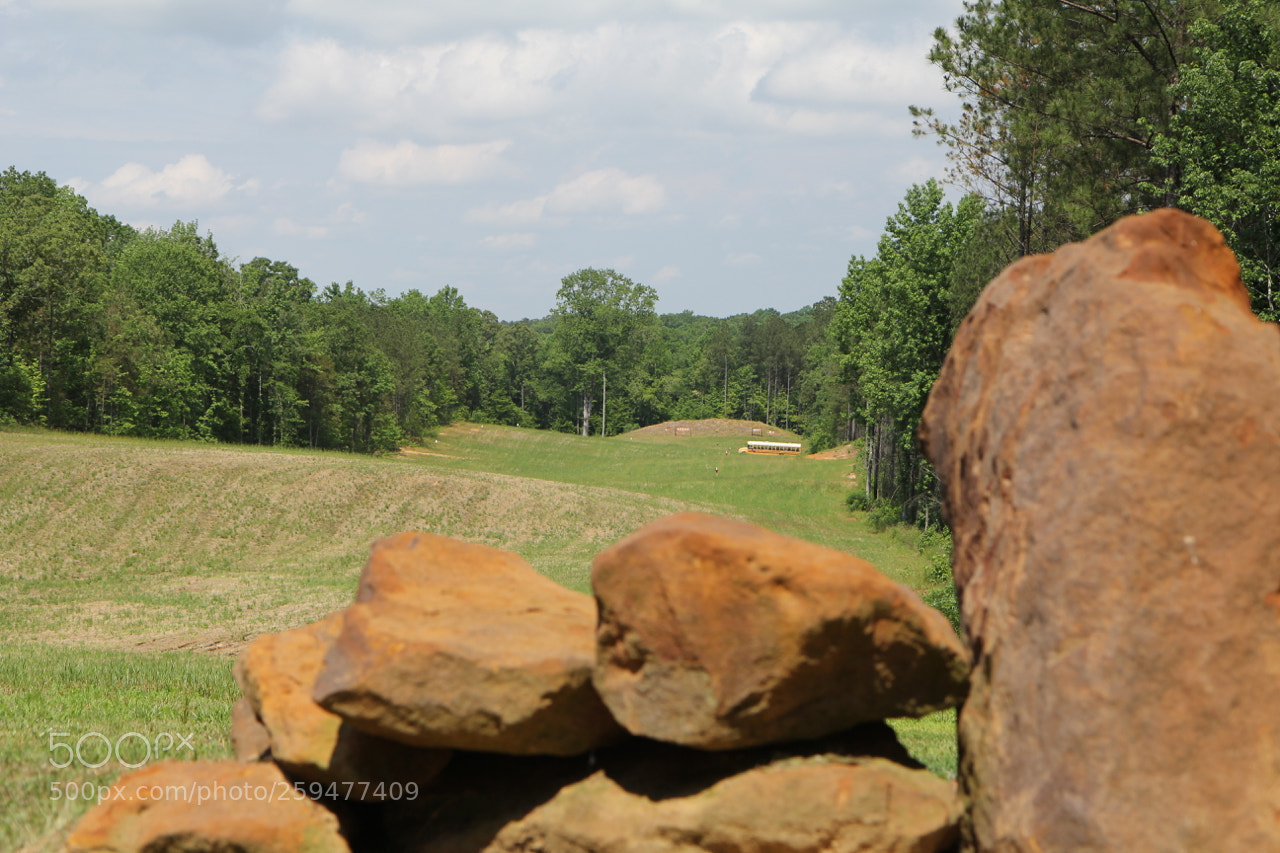 Canon EOS 60D sample photo. Img photography