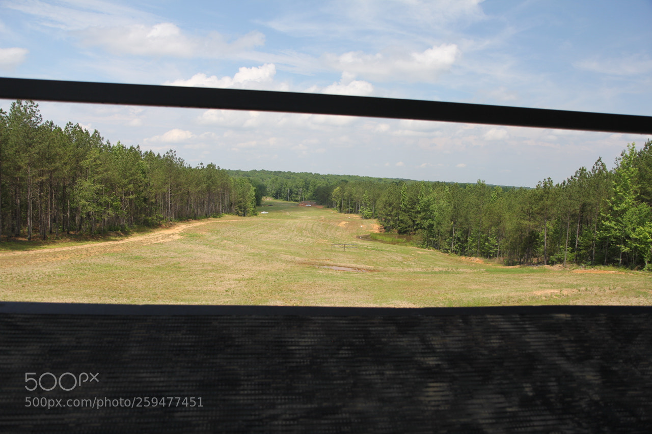 Canon EOS 60D sample photo. Img photography