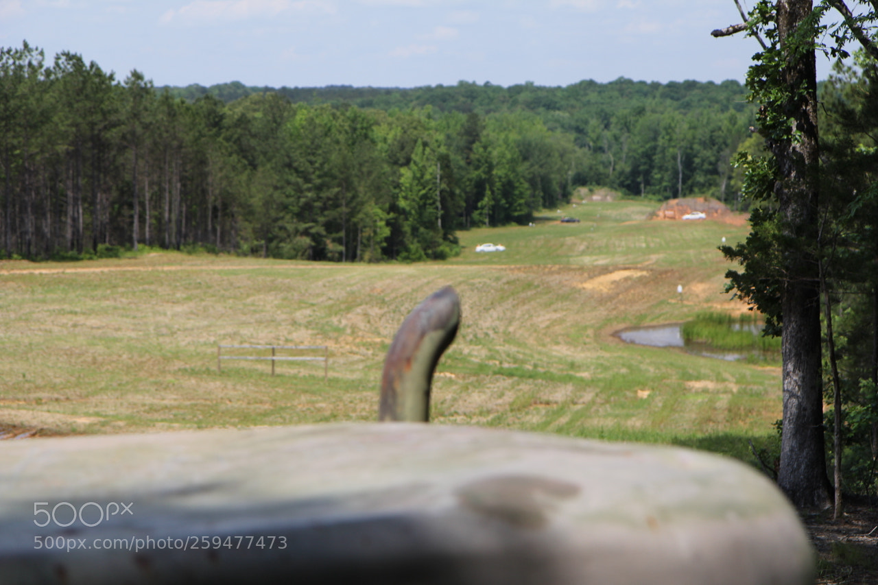 Canon EOS 60D sample photo. Img photography