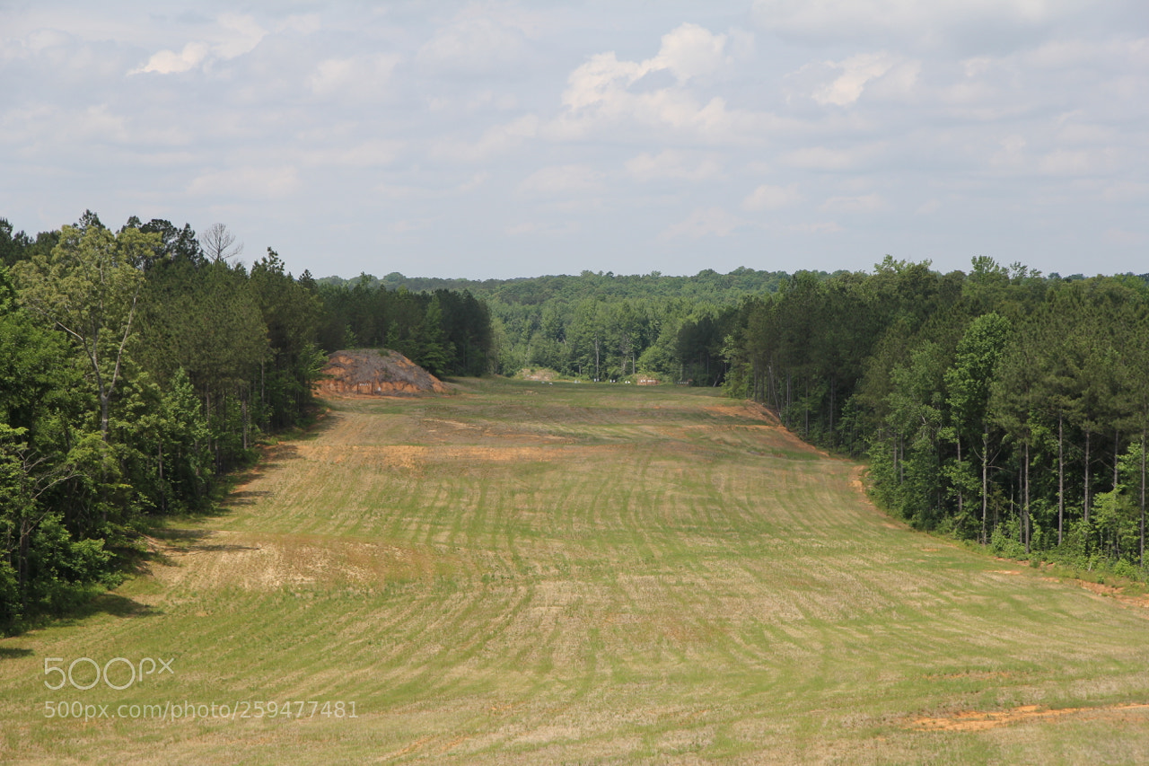 Canon EOS 60D sample photo. Img photography