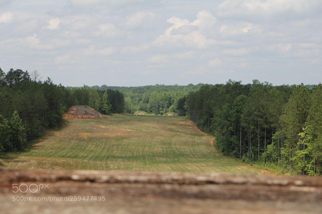 Canon EOS 60D sample photo. Img photography