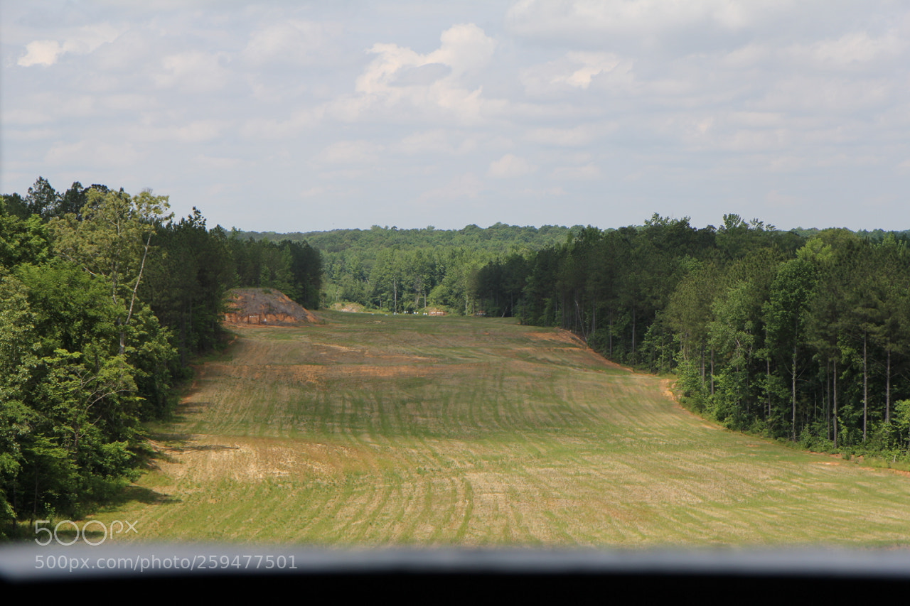 Canon EOS 60D sample photo. Img photography