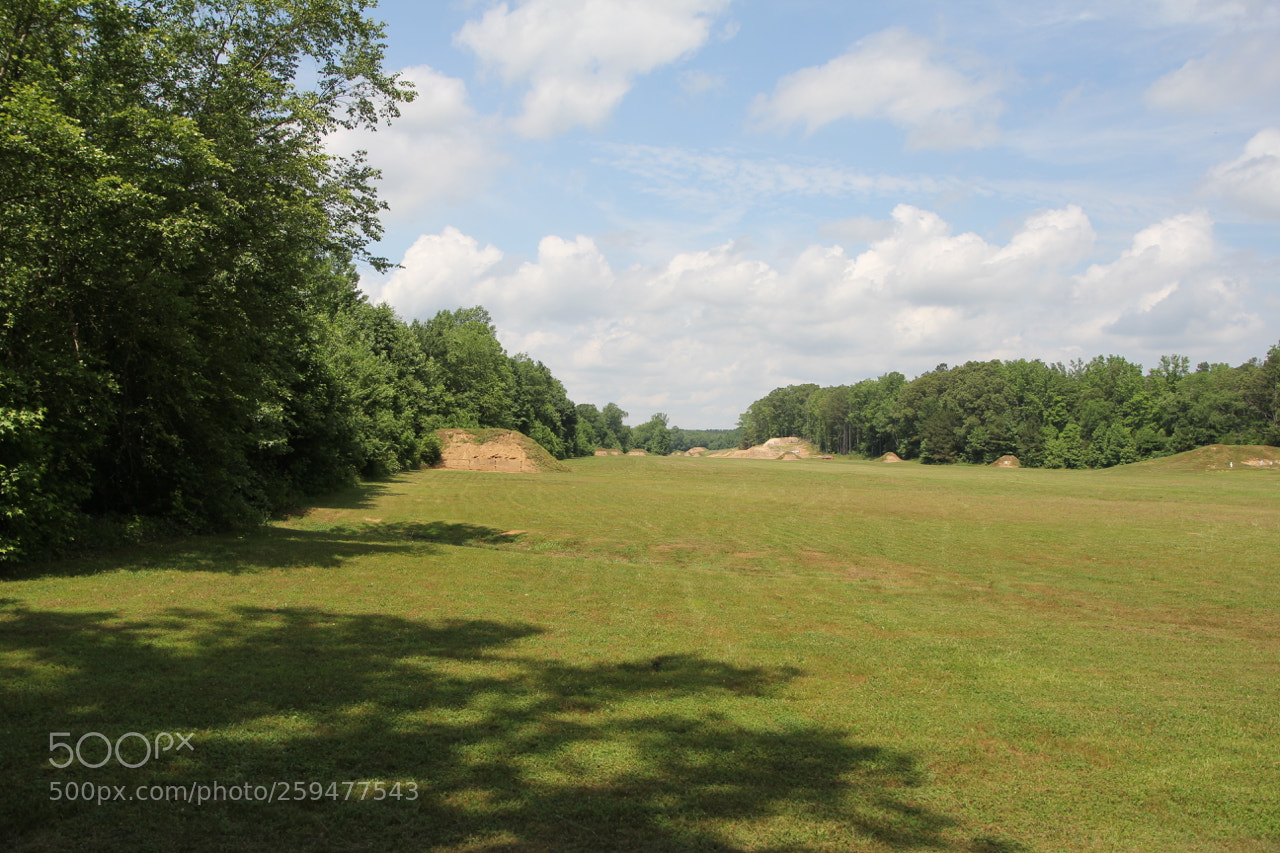 Canon EOS 60D sample photo. Img photography