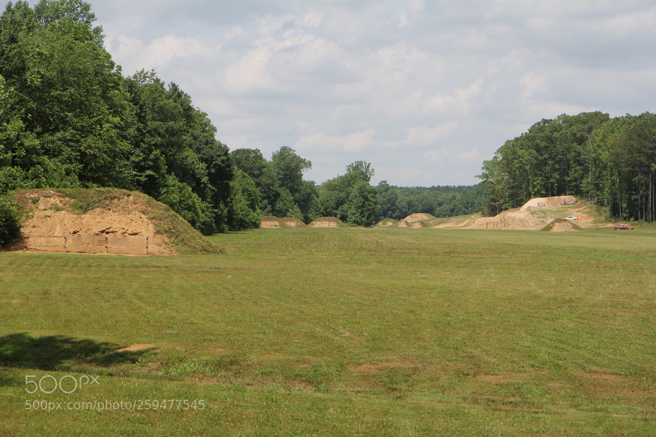Canon EOS 60D sample photo. Img photography