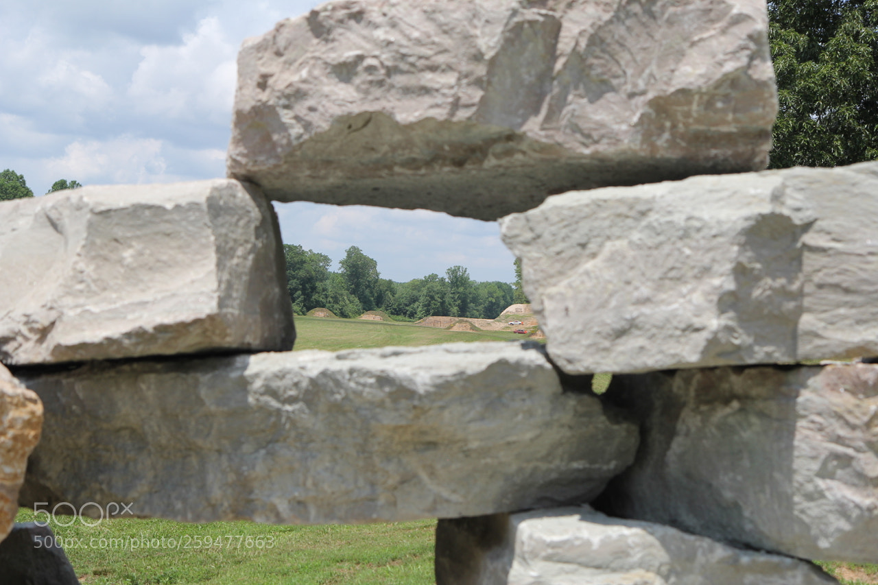 Canon EOS 60D sample photo. Img photography