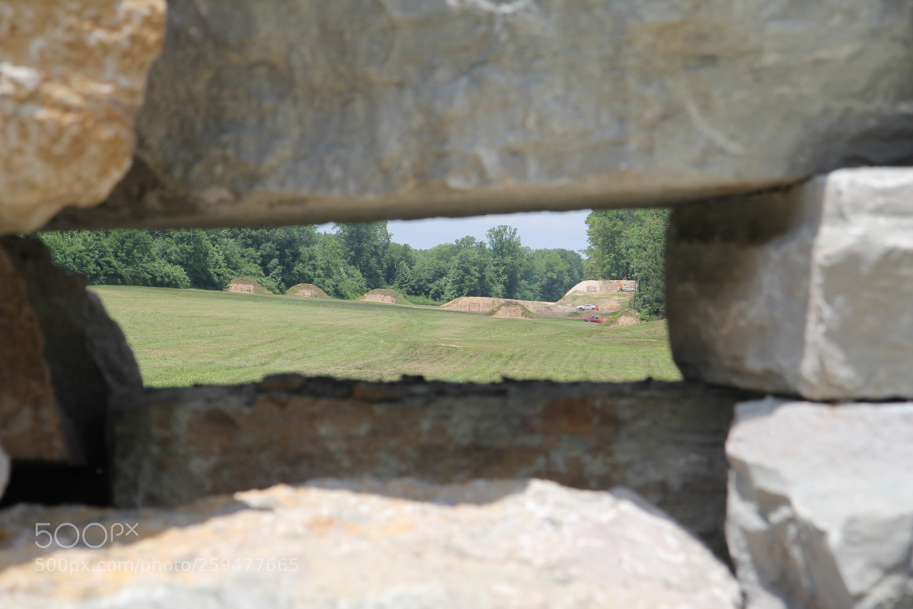 Canon EOS 60D sample photo. Img photography