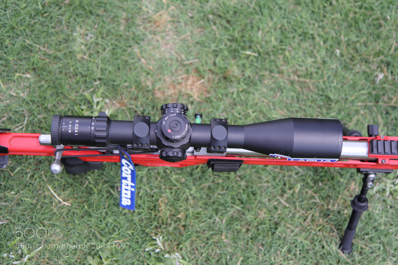 Canon EOS 60D sample photo. Img photography
