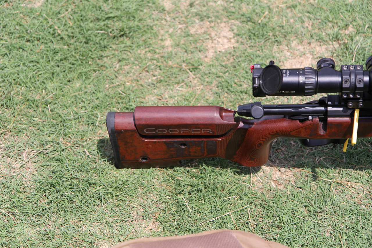 Canon EOS 60D sample photo. Img photography
