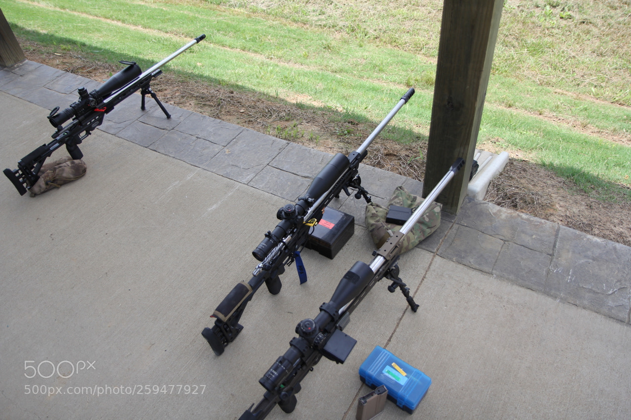 Canon EOS 60D sample photo. Img photography