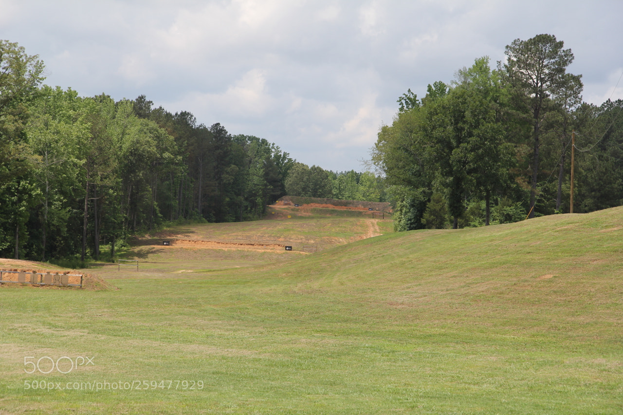 Canon EOS 60D sample photo. Img photography