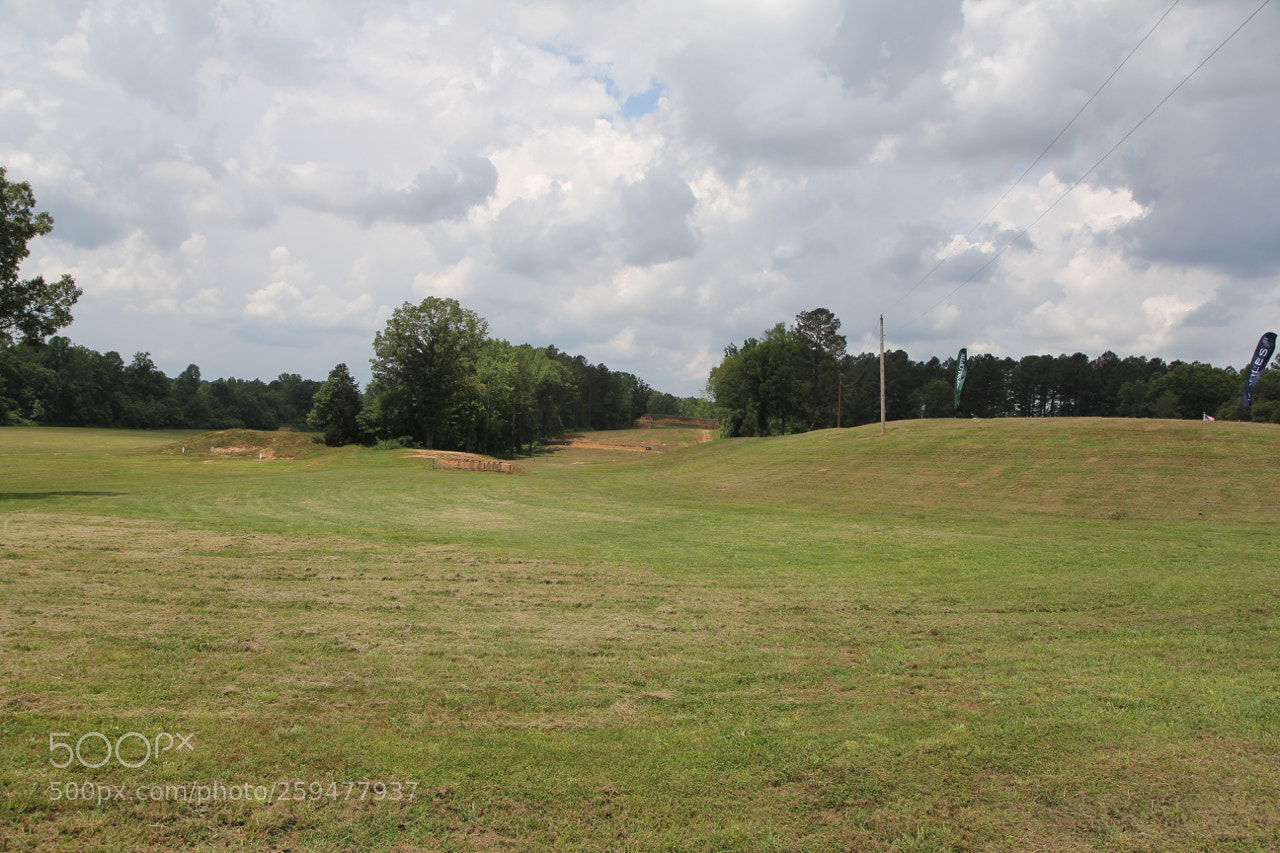 Canon EOS 60D sample photo. Img photography