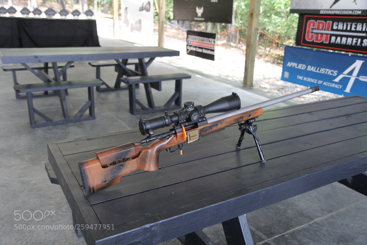 Canon EOS 60D sample photo. Img photography