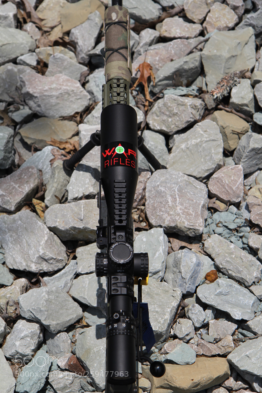 Canon EOS 60D sample photo. Img photography
