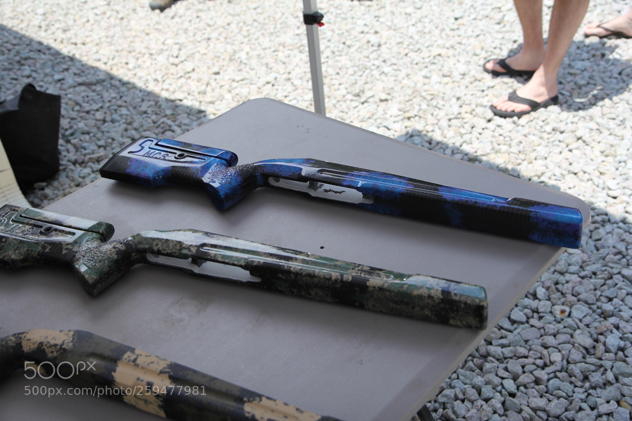 Canon EOS 60D sample photo. Img photography