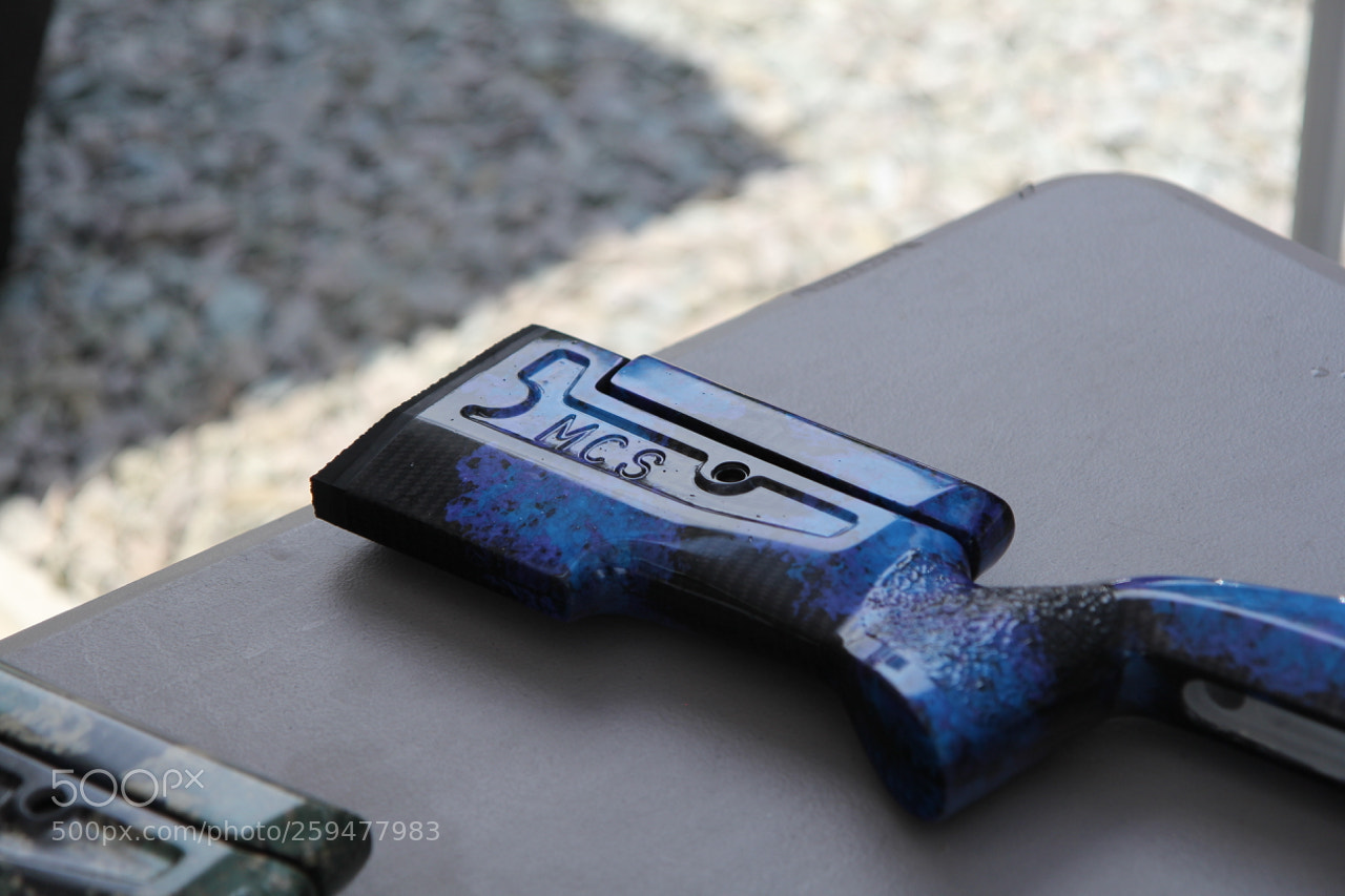 Canon EOS 60D sample photo. Img photography