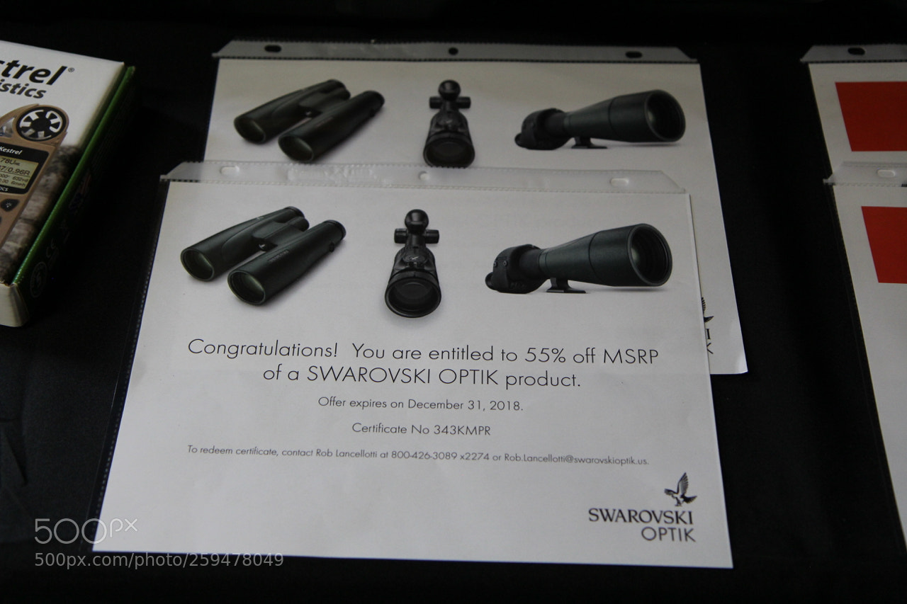 Canon EOS 60D sample photo. Img photography