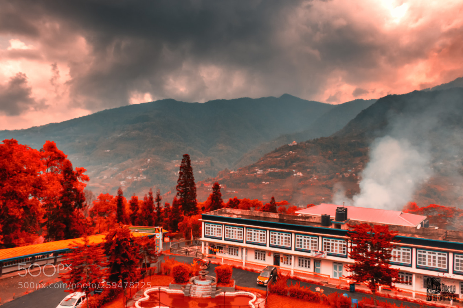 Canon EOS 77D (EOS 9000D / EOS 770D) sample photo. Colourfull nature photography