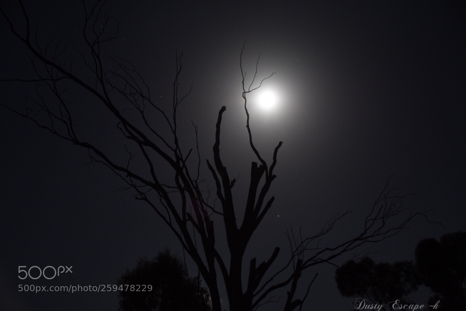 Nikon D7200 sample photo. Untitled photography