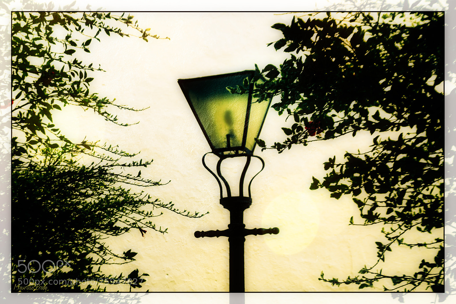 Canon EOS 50D sample photo. Then i think i photography