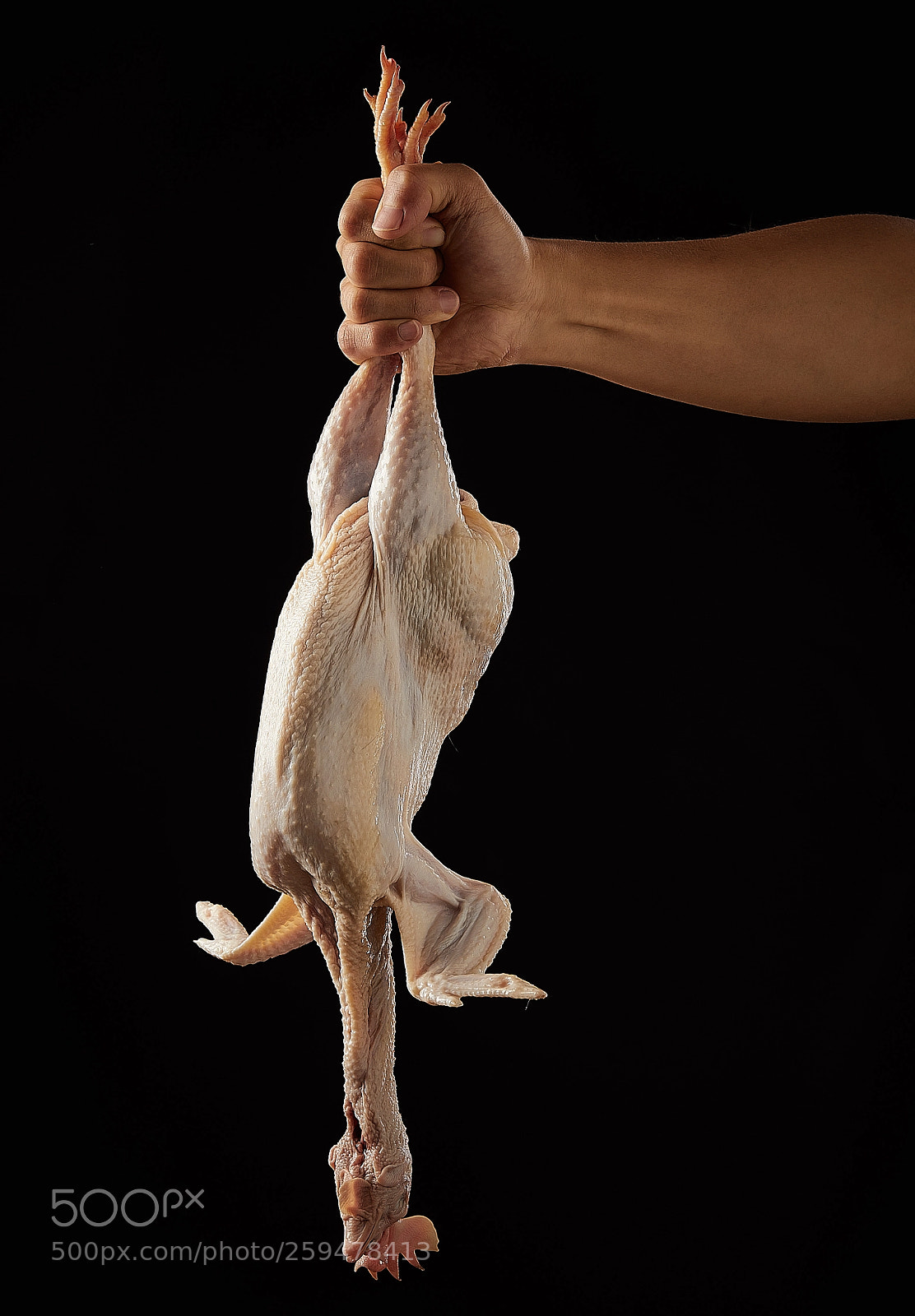 Canon EOS 5D Mark IV sample photo. 大吉大利 photography