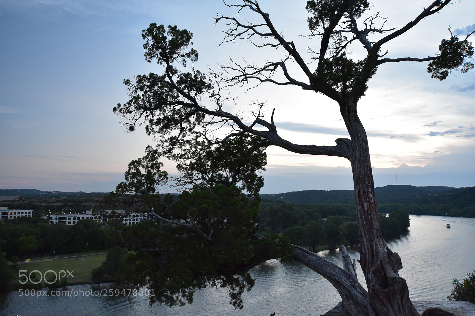 Nikon D3400 sample photo. Colorado river and tree photography