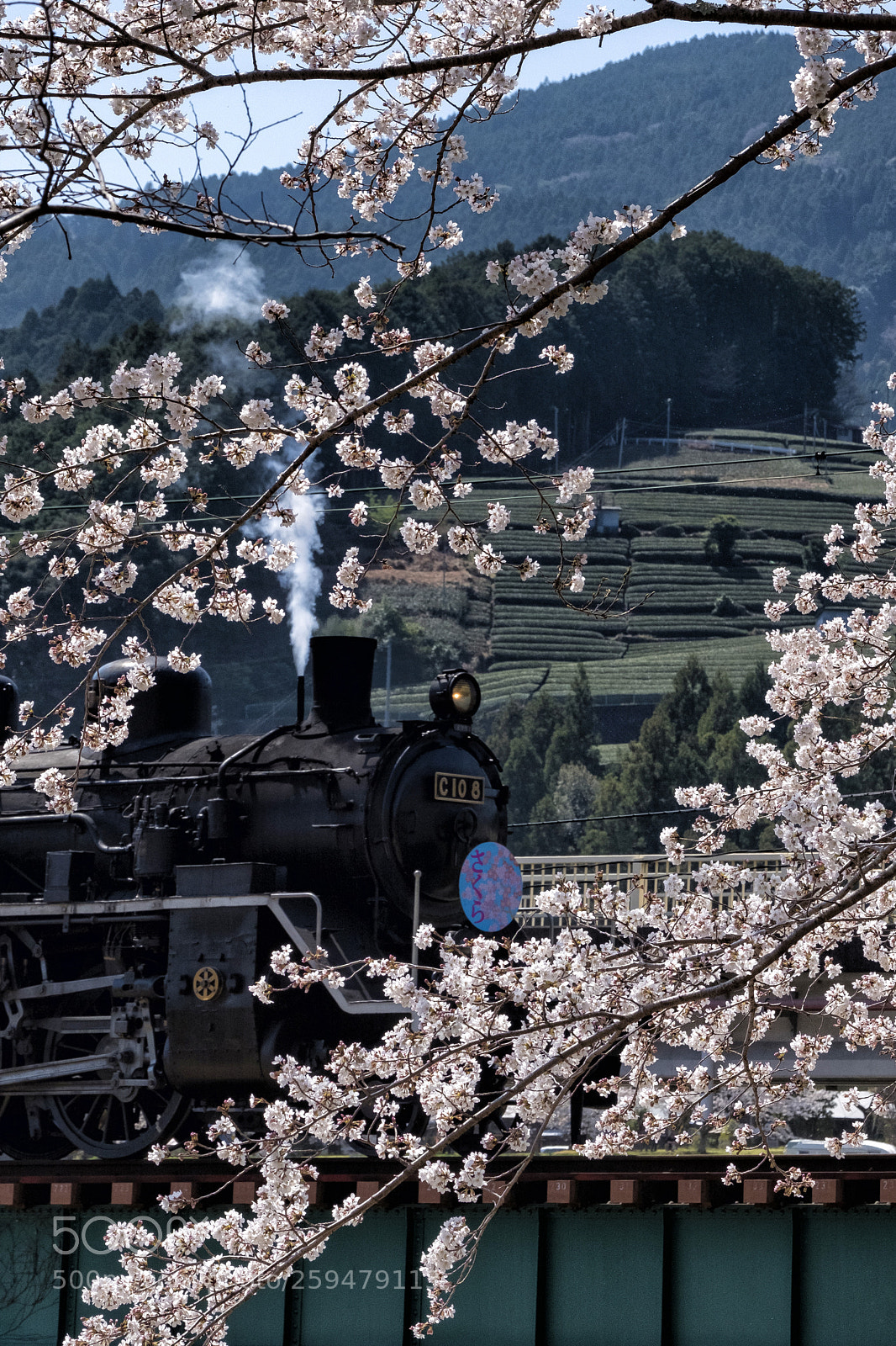 Fujifilm X-T2 sample photo. Take a monorail train photography