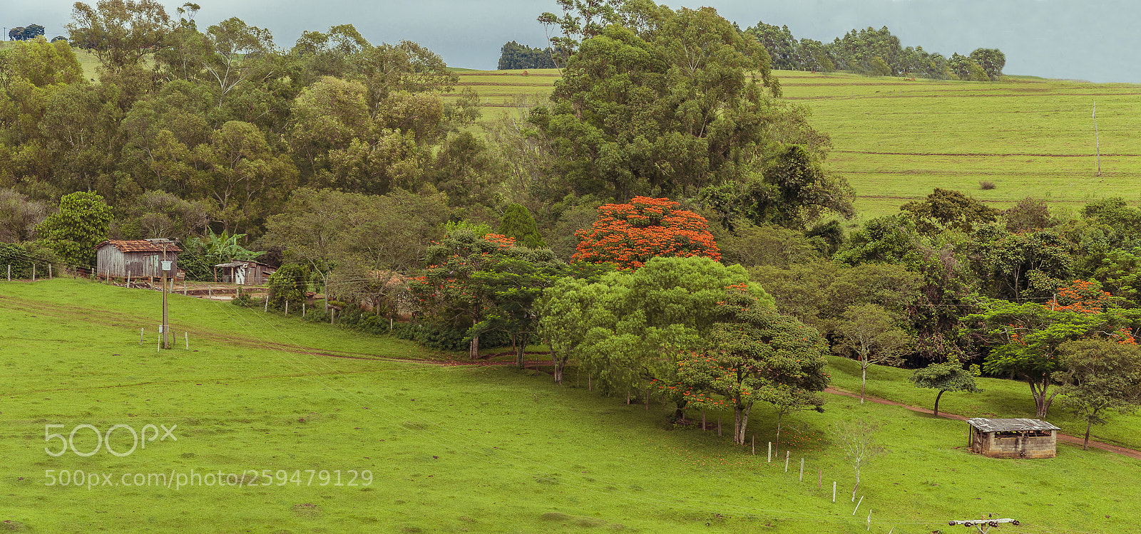 Nikon D90 sample photo. Brasilian farm photography