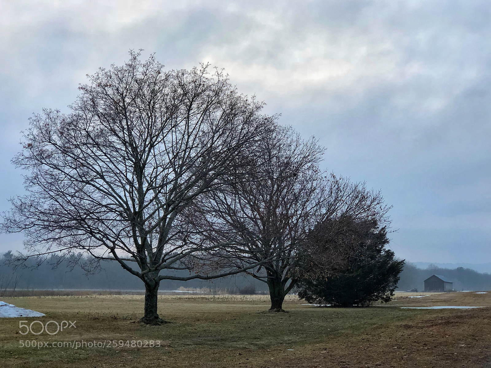 Apple iPhone 8 Plus sample photo. Not so long ago photography