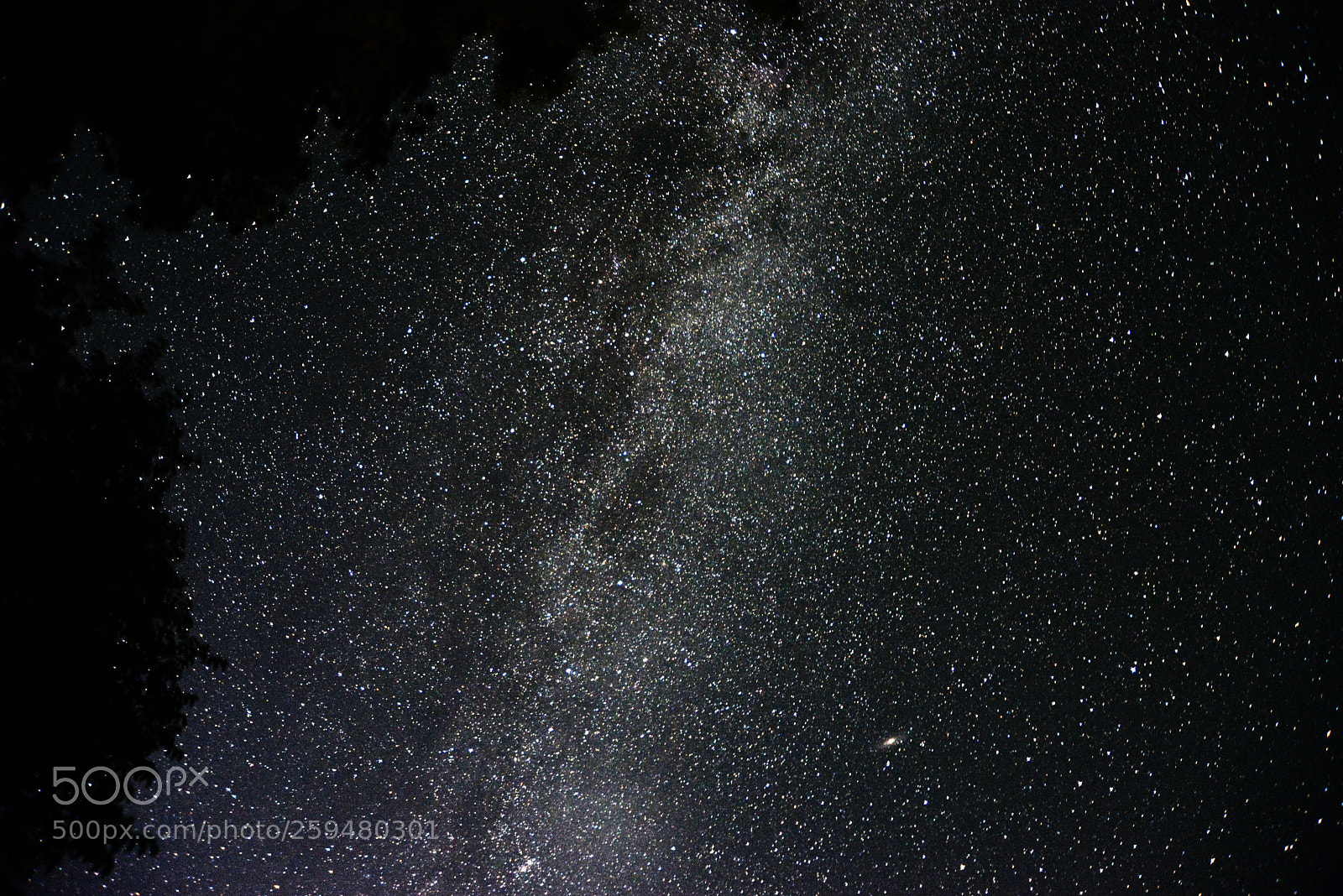 Nikon D610 sample photo. Astrophoto -101 photography
