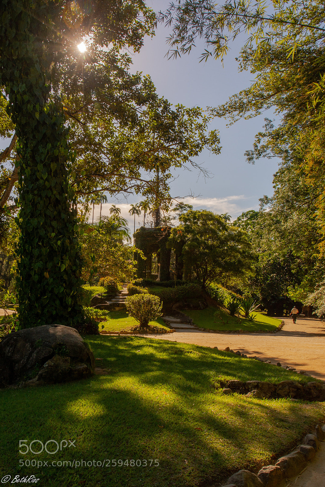 Nikon D7100 sample photo. Shadows photography